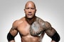 WWE Superstar and Hollywood Actor Dwayne 'The Rock' Johnson Surpasses 200 Million Instagram Followers