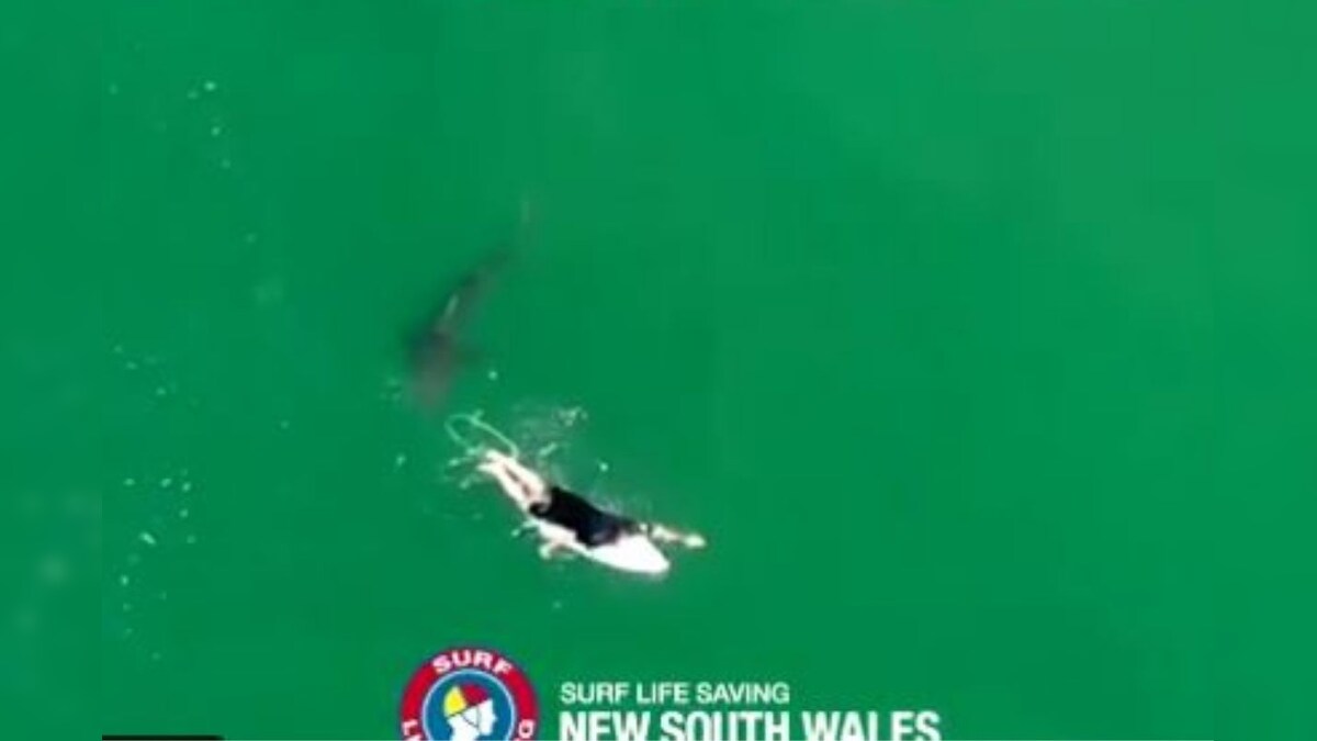 Watch: World Champion Surfer Has a Narrow Escape from a White Shark in Australia