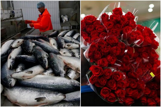 Study finds that some people cannot tell the smell of roses apart from the smell of fish | Image credit: Reuters (Representational) Study finds that some people cannot tell the smell of roses apart from the smell of fish | Image credit: Reuters (Representational)