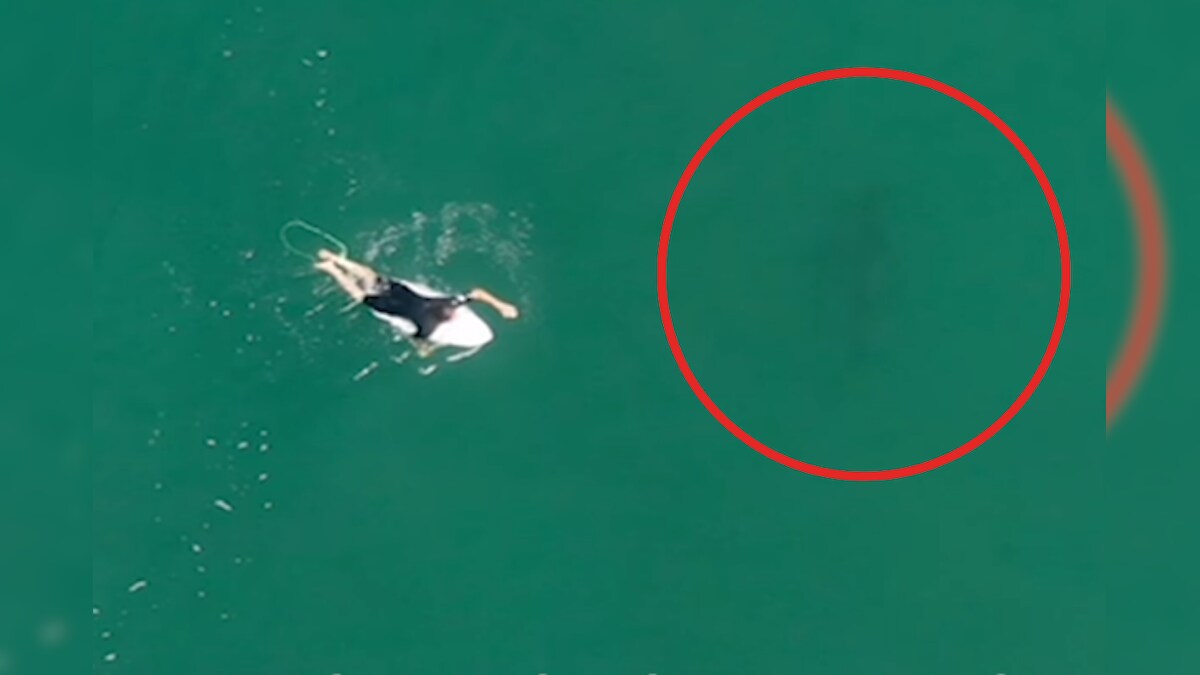 Drone Alerts Surfer to Shark Swimming Dangerously Close Before it Tries to Attack Him