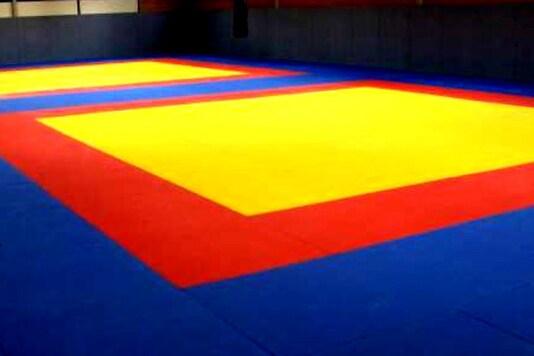 Judo (Photo Credit: Twitter) 