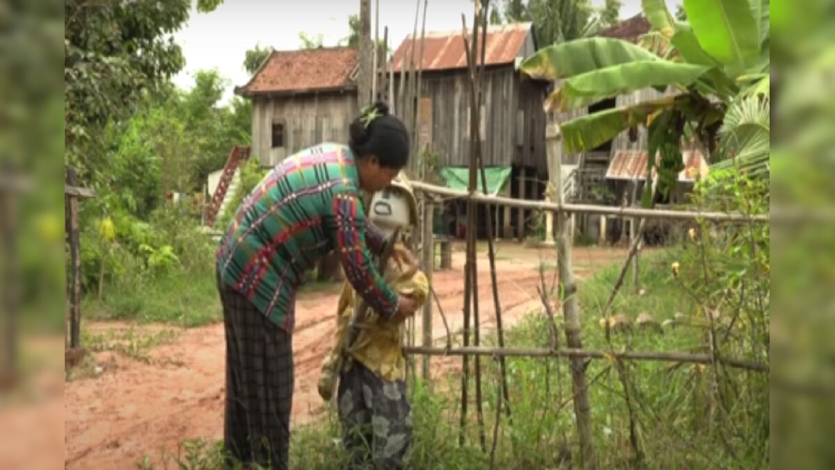 Fighting the Evil: Cambodian Farmers Deploy Age-old 'Ting Mong' Scarecrows to Ward off Virus