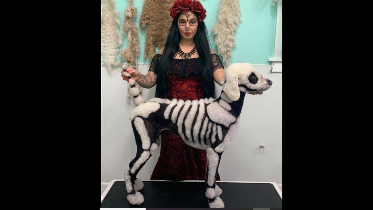 Inspired by Animated Movie, Woman Transforms Pet Poodle Into Spooky 'Skeleton' for Halloween