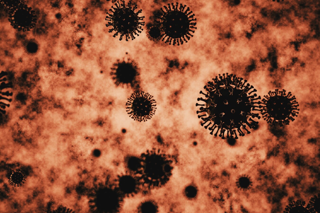 A Single Cell Marine Organism Suspected to Feed on Viruses. It May Be Good  News For Humans