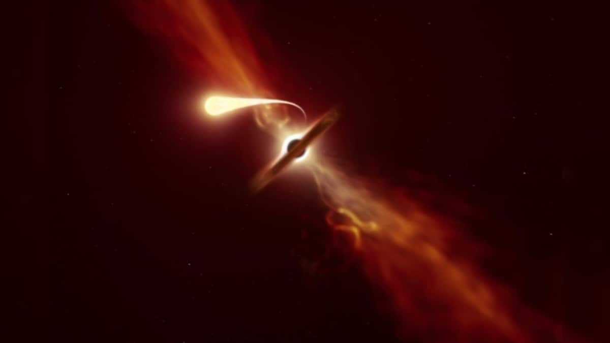 Scientists Capture the Exact Moment a Massive Black Hole Devoured a Star the Size of the Sun