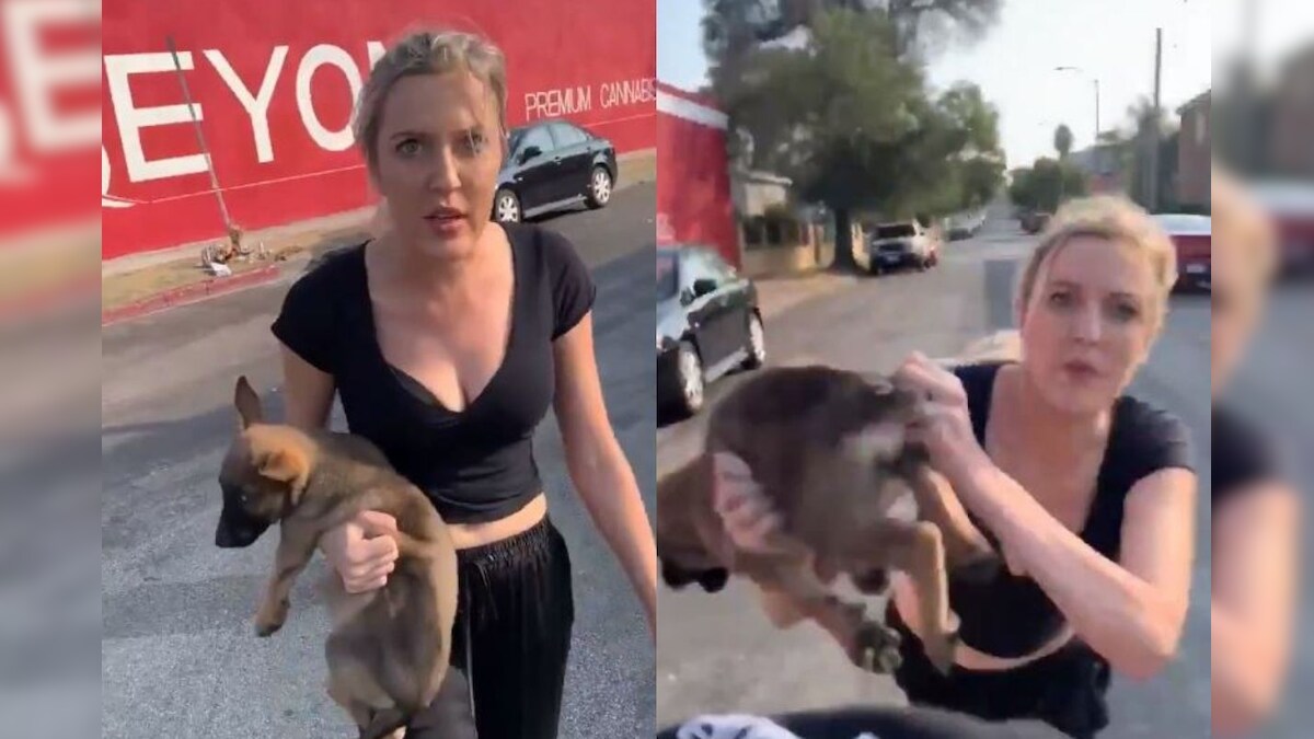Video of White Woman Hurling Puppy at a Black Man While Racially