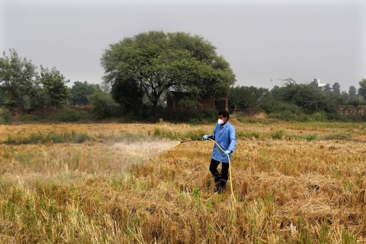 A Pusa Institute of Technology worker sprays bio-decomposer which converts agricultural waste into compost in his field after harvesting in New Delhi, India, Tuesday, Oct. 13, 2020. As Delhi and its satellite areas stares at another winter with bad air quality, Delhi government, in collaboration with the Pusa Institute of Technology, is working on a technique which converts agricultural waste into compost and provides an option for farmers to dispose of the crop remains without burning it. (AP Photo/Manish Swarup) A Pusa Institute of Technology worker sprays bio-decomposer which converts agricultural waste into compost in his field after harvesting in New Delhi, India, Tuesday, Oct. 13, 2020. As Delhi and its satellite areas stares at another winter with bad air quality, Delhi government, in collaboration with the Pusa Institute of Technology, is working on a technique which converts agricultural waste into compost and provides an option for farmers to dispose of the crop remains without burning it. (AP Photo/Manish Swarup)