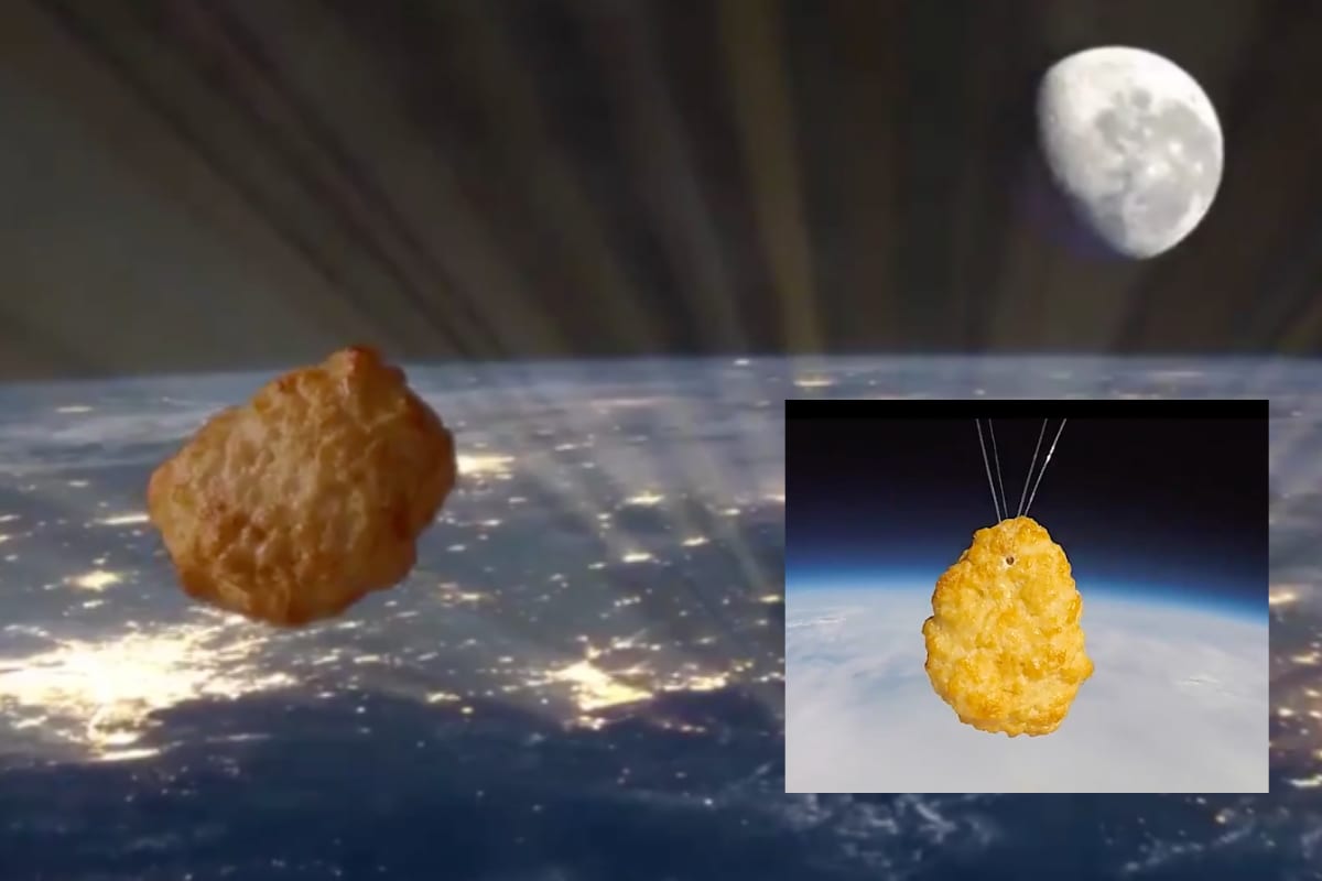 A Chicken Nugget from Iceland Has Been Sent to Space to Celebrate Food Company's 50th Anniversary