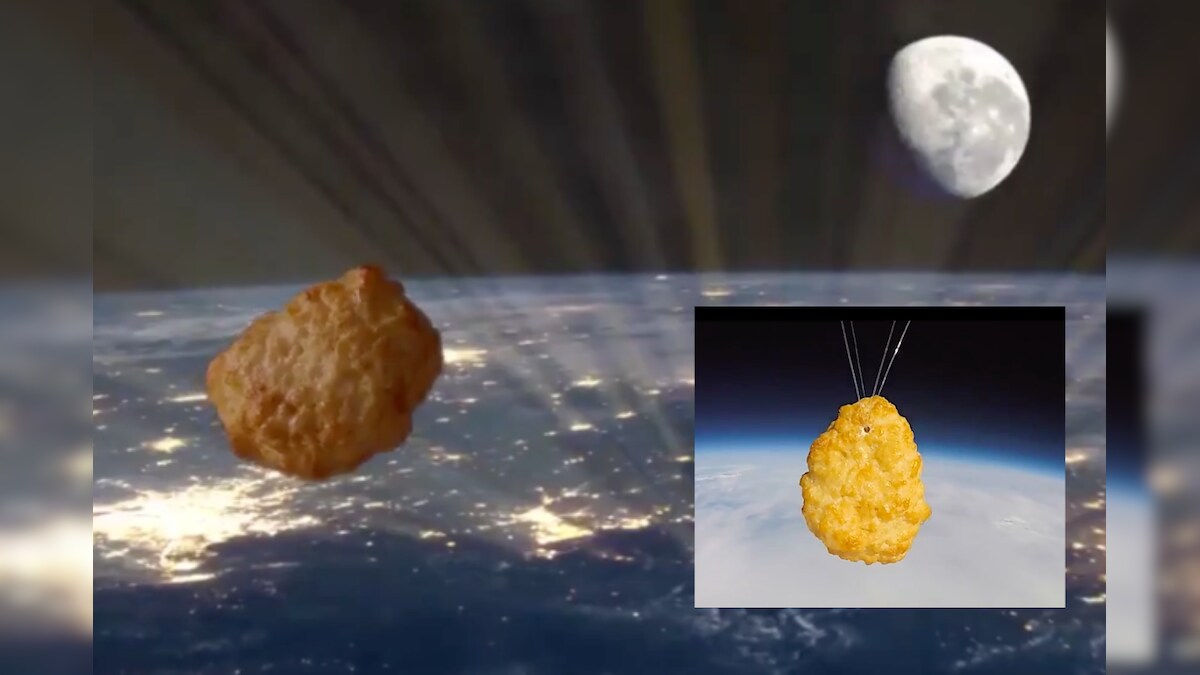 A Chicken Nugget from Iceland Has Been Sent to Space to Celebrate Food Company's 50th Anniversary