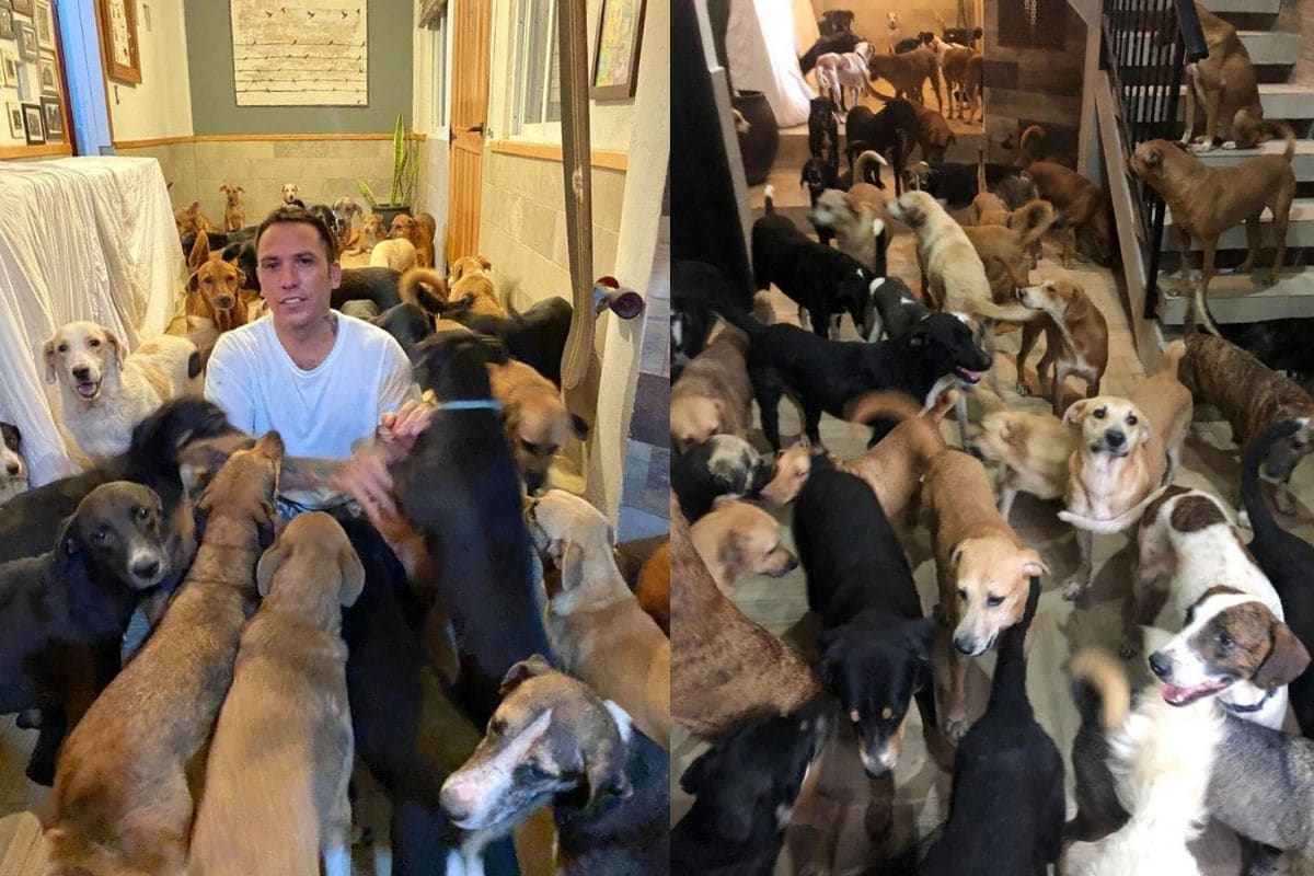 Mexican Man Shelters 300 Dogs inside Home to Protect Them from Hurricane Delta