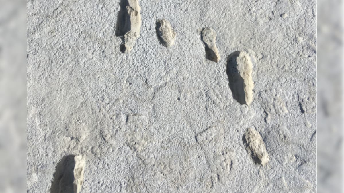 Oldest Traces of Fossilised Human Footsteps Discovered in New Mexico