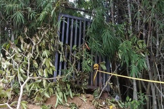 The main trapping area for the tiger in the forest. The main trapping area for the tiger in the forest.