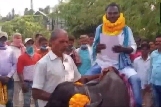 Video grab of candidate on buffalo in Bihar.
(Credit: ANI/Twitter) Video grab of candidate on buffalo in Bihar.
(Credit: ANI/Twitter)
