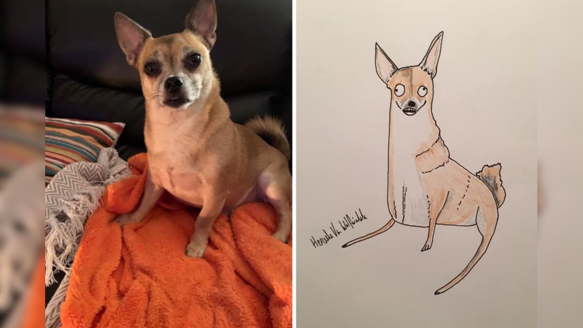 Spoof Artist Draws Bad Caricatures of People's Pets and Donates the Money to Homeless