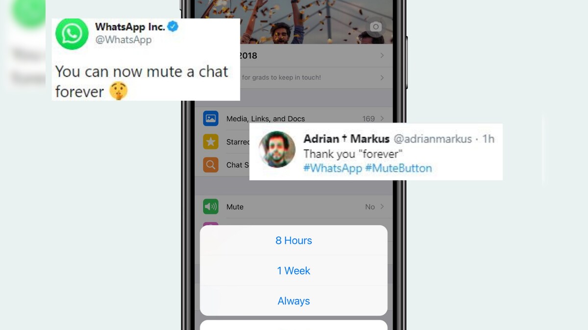 'It is Finally Here' WhatsApp's 'Forever' Mute Option is Everything