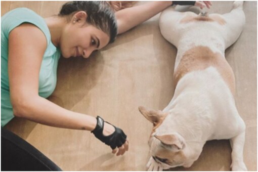 Samantha Akkineni and Her Pet Dog Hash Share an Adorable Moment, See Pic