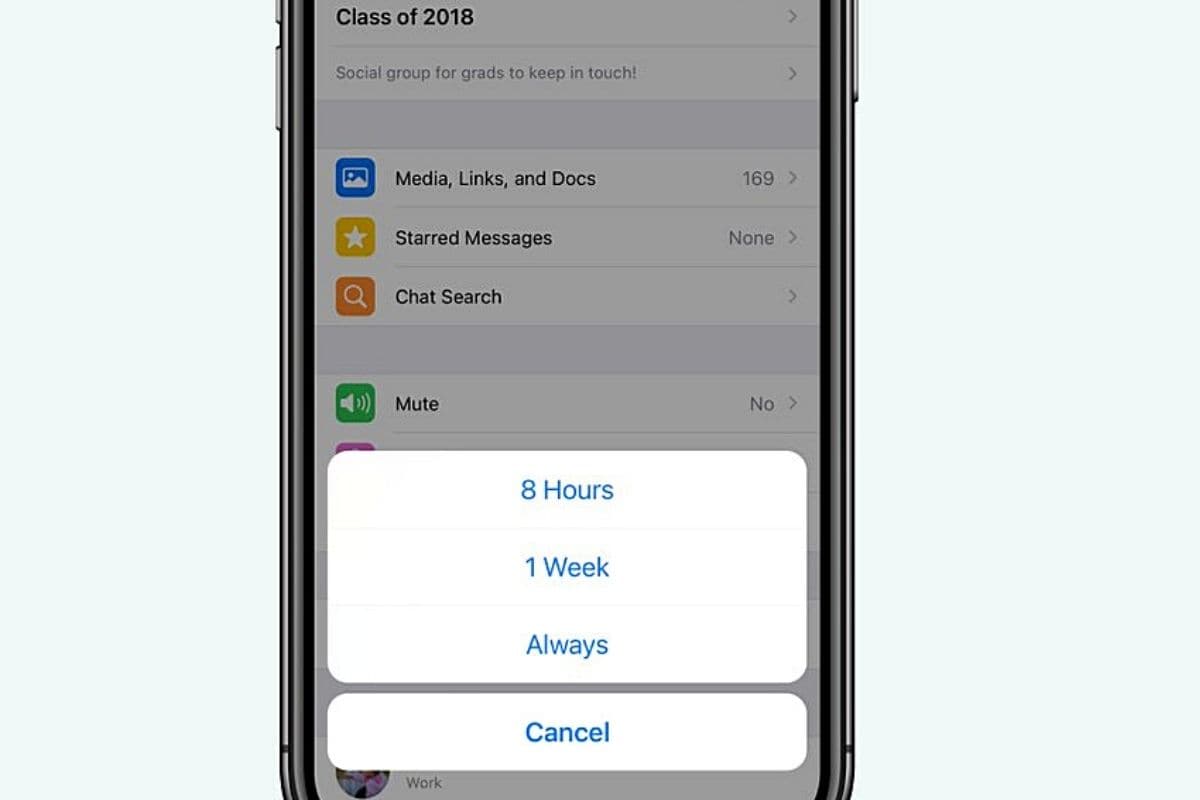 Mute WhatsApp Chats Forever Feature Is Now Live On Android, IOS: How To