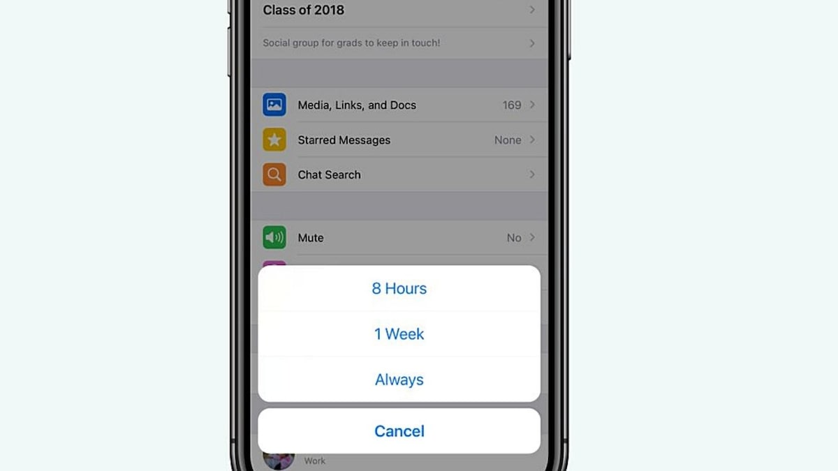 Mute WhatsApp Chats Forever Feature is Now Live on Android, iOS: How to Do it