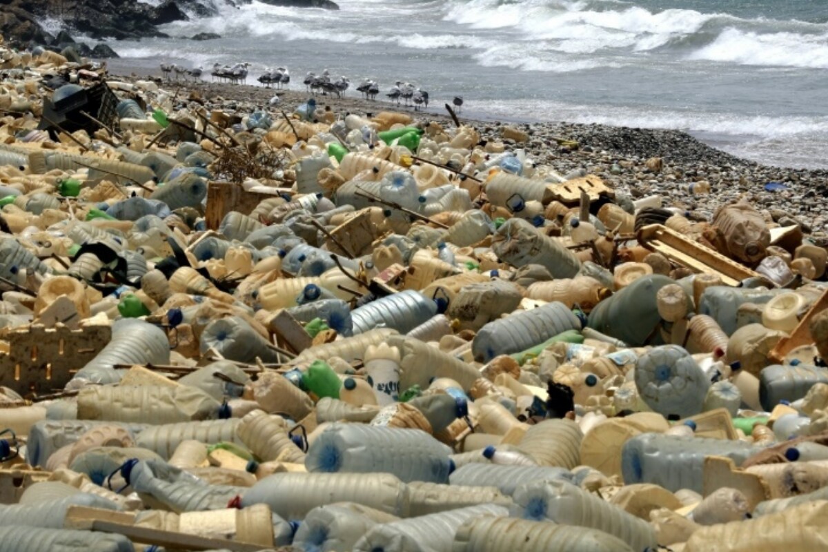 Over 8 Billion Drinks Containers Dumped in UK's Rivers and Seas in Just One Year