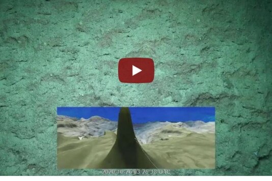 Video grab of the newly discovered coral reef.
