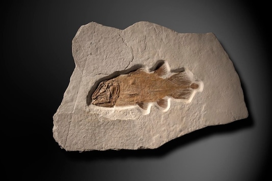 Photo: Summer Place Auctions Photo: Summer Place Auctions