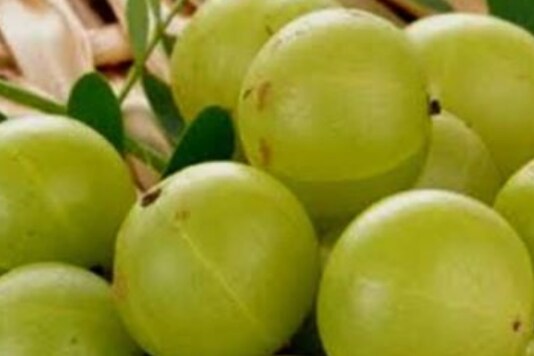 7-amazing-health-benefits-of-amla