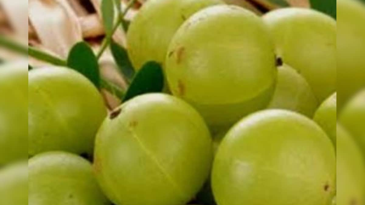 Five Types of Drinks Made with Amla that will Strengthen Immunity