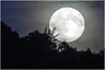 Sharad Purnima 2020: Date and Time of The Festival to Worship Lord Chandra