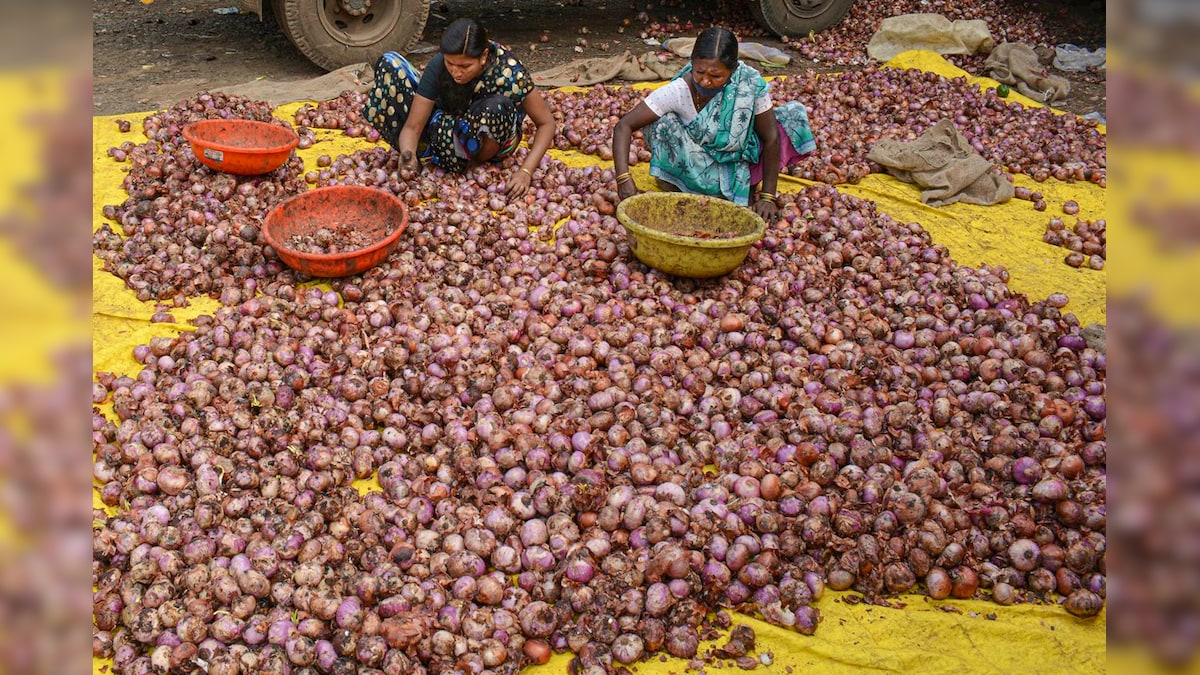 Festive Cheer for Households as Onion Prices Show Declining Trend after Touching Record Highs