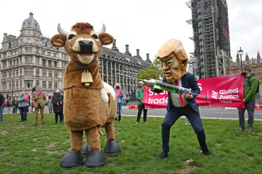 A demonstrator dressed as Donald Trump holding a syringe pretends to inject a pantomime cow during the Stop Trump Coalition protest in Parliament Square, London, Saturday, Oct. 24, 2020 ahead of the US Presidential election on Nov. 3. (Jonathan Brady/PA via AP)