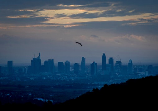 A bird flies over the buildings of the banking districts in Frankfurt, Germany, Tuesday, Oct. 6, 2020. (AP Photo/Michael Probst) A bird flies over the buildings of the banking districts in Frankfurt, Germany, Tuesday, Oct. 6, 2020. (AP Photo/Michael Probst)