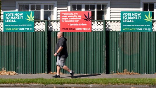 A man walks past signs in support of making marijuana legal in Christchurch, New Zealand, Friday, Oct. 16, 2020. New Zealanders are poised to decide on two crucial social issues during an election on Saturday, Oct. 17, whether to legalize recreational marijuana and whether to legalize euthanasia. (AP Photo/Mark Baker) A man walks past signs in support of making marijuana legal in Christchurch, New Zealand, Friday, Oct. 16, 2020. New Zealanders are poised to decide on two crucial social issues during an election on Saturday, Oct. 17, whether to legalize recreational marijuana and whether to legalize euthanasia. (AP Photo/Mark Baker)