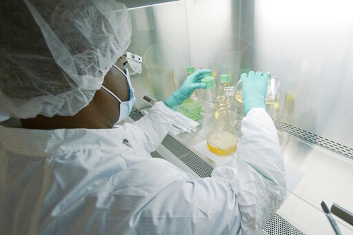 Possible Safety Issue Spurs Pause Of COVID-19 Antibody Study