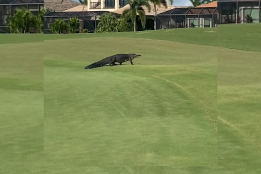 Duran Golf Club. Duran Golf Club.