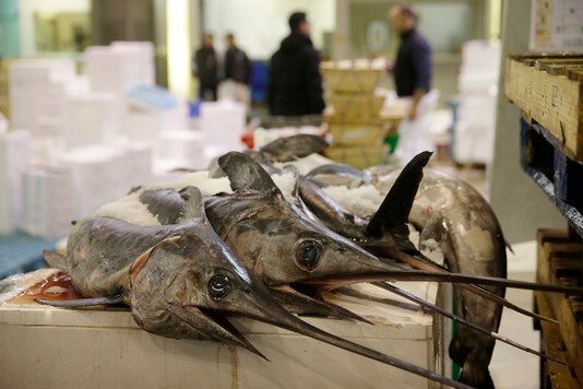 Swordfish kept at a market in Rungis International food market as buyers prepare for the Christmas holiday season in Rungis, south of Paris. (For representation/REUTERS)