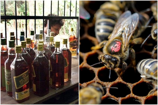 From hooch to honey | Image credit: Reuters (Representational) From hooch to honey | Image credit: Reuters (Representational)