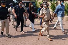 Poonam Pandey-Arrested News: Latest Poonam Pandey-Arrested News ...