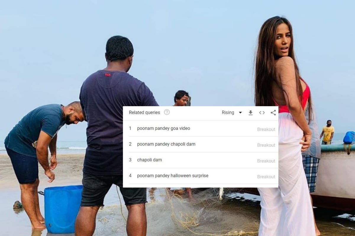 Poonam Pandey Was Detained For Shooting 'Obscene' Video in Goa, Indians are Desperately Googling For it