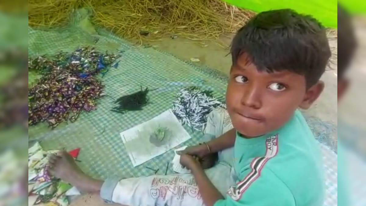 Ahead of Diwali, Children Caught on Camera Making Firecrackers in UP’s Barabanki