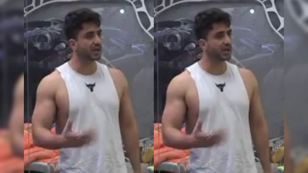 Bigg Boss 14: Aly Goni Loses Cool, Decides Not to Wear Mic or Eat Food