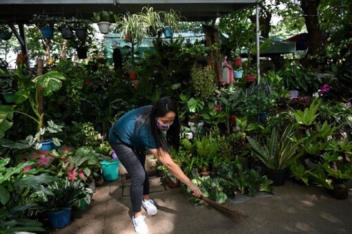  Gardening (Photo: AFP)