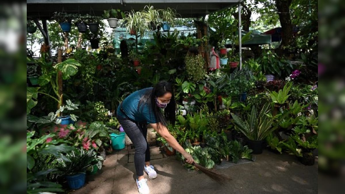 Gardening Craze Dubbed 'Plantdemic' Hits Philippines as Demand for Greenery Grows