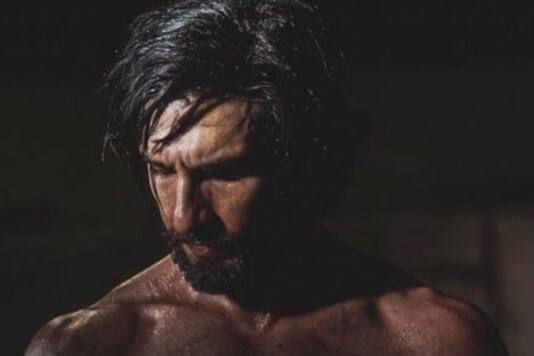 credits - Ranveer Singh Instagram