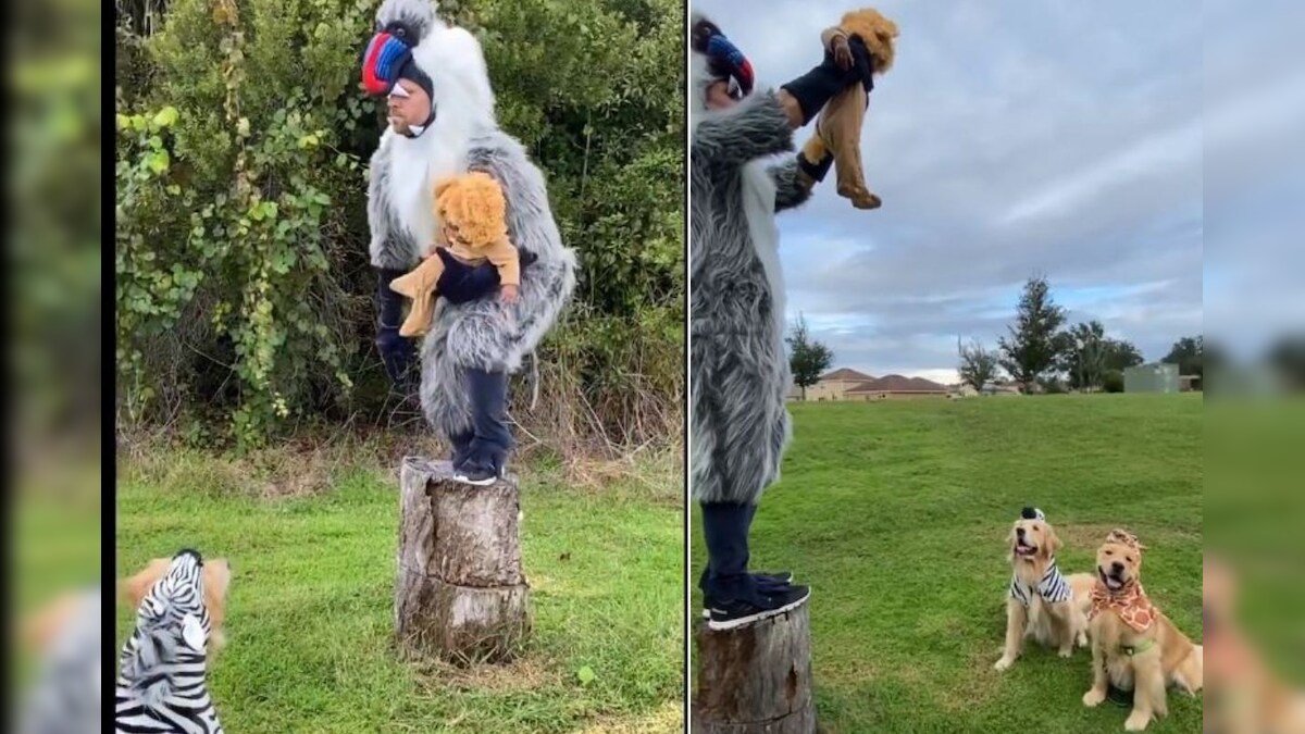 Watch: Father, Toddler and Golden Retrievers Create Iconic Lion King Scene to Circle of Life Tune