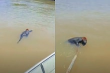 WATCH: Fishermen Save Exhausted Monkey From Drowning in Brazil, Heartwarming Video Goes Viral