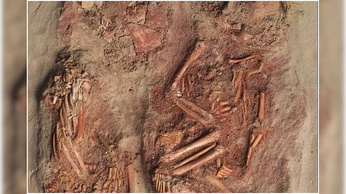 Remains of World's First Identical Twins Dating back 30,000 Years Unearthed in Austria