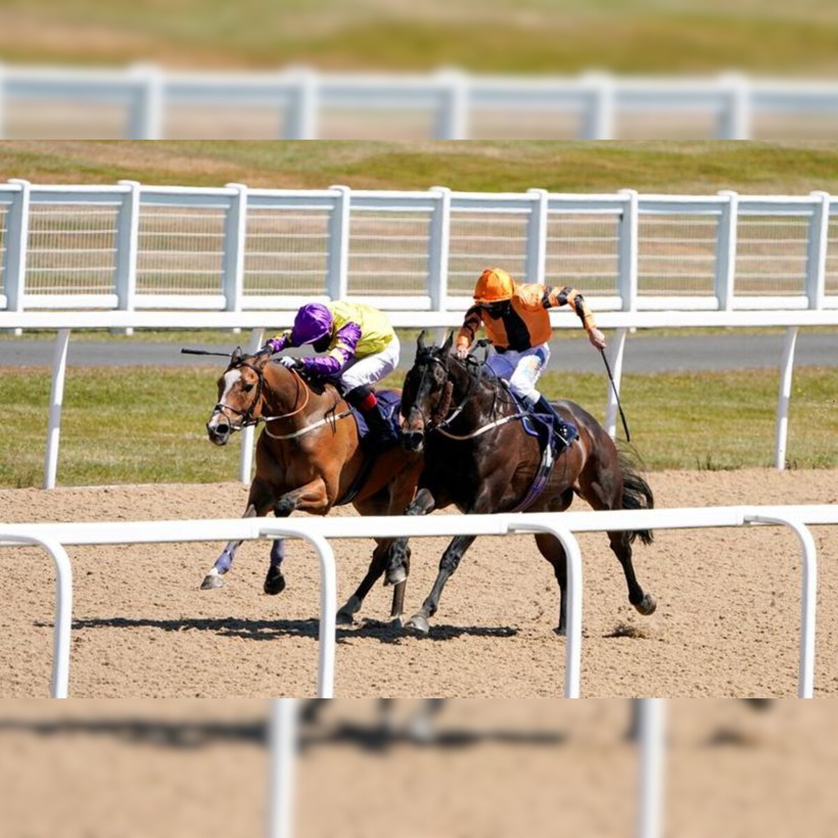 Mysore Race Course Launches Online Horse Race Betting Platform Winter Season Race Commences From Today