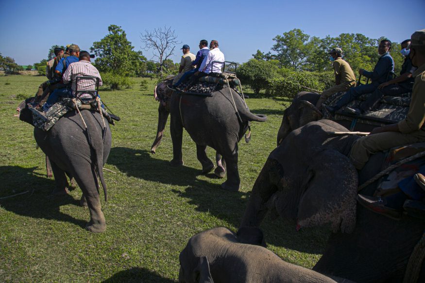 Assam S Pobitora Wildlife Sanctuary Reopens For Tourists After 7 Months Hiatus Photogallery