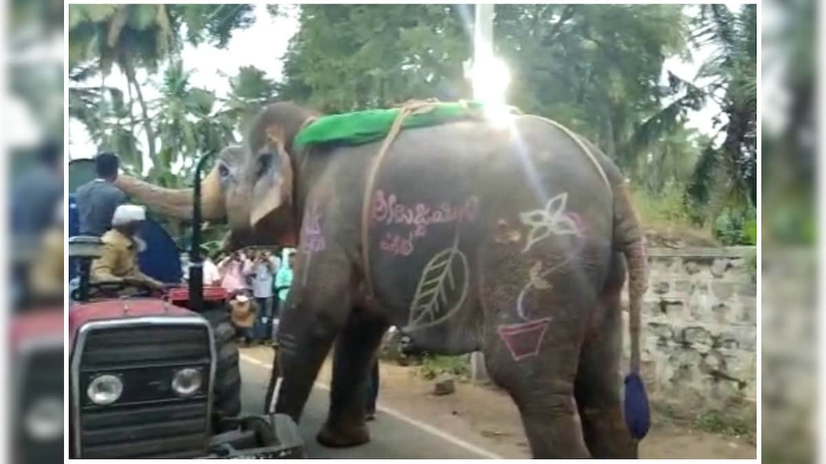 Thirsty Elephant Stops Water Tanker to Drink Water During Hampi Utsav in Karnataka