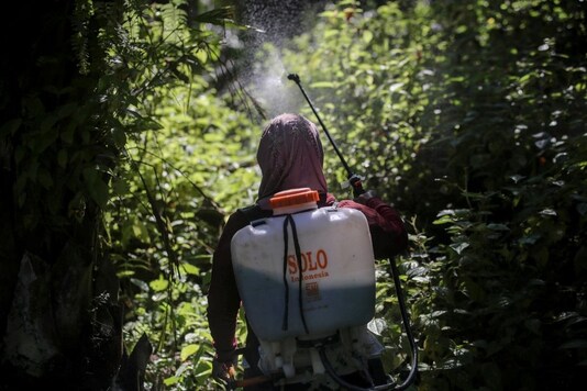 A female worker sprays herbicide in a palm oil plantation in Sumatra, Indonesia, on Saturday, Sept. 8, 2018. Many women are hired by subcontractors on a day-to-day basis without benefits, performing the same jobs for the same companies for years and even decades. They often work without pay to help their husbands meet otherwise impossible daily quotas. (AP Photo/Binsar Bakkara)


